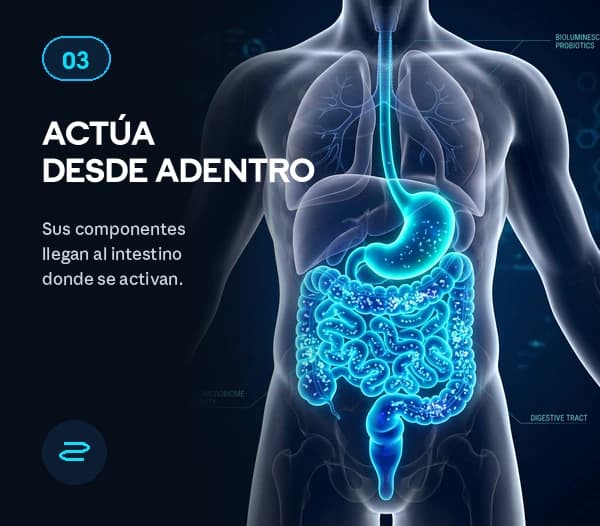 ACTÚA DESDE ADENTRO