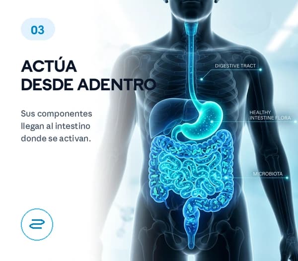 ACTÚA DESDE ADENTRO